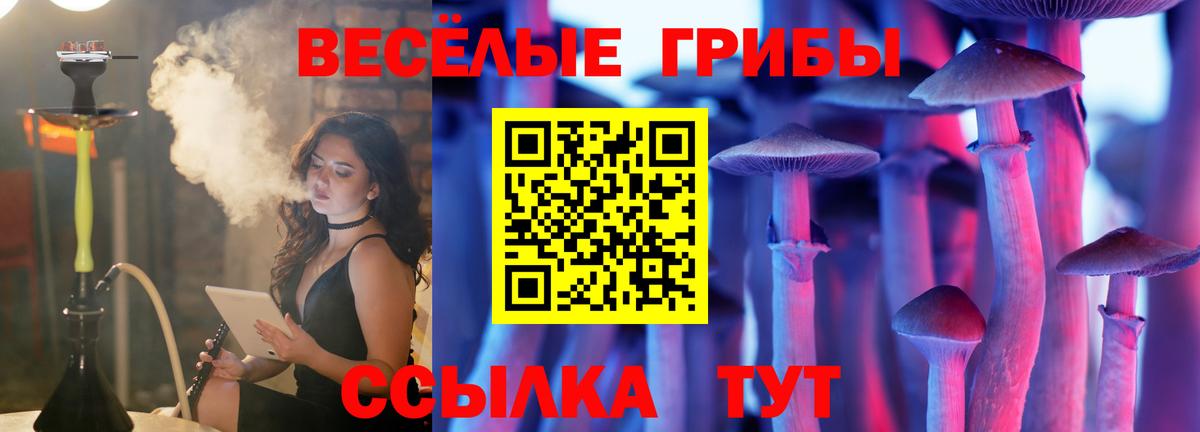 Галлюциногенные грибы прущие грибы  Вход с VPN  Галлюциногенные грибы прущие грибы  Северобайкальск 